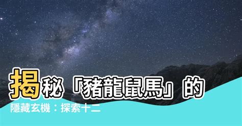 豬龍鼠馬什麼意思|【豬龍鼠馬意思】揭秘「豬龍鼠馬」的隱藏玄機！快來一探十二生。